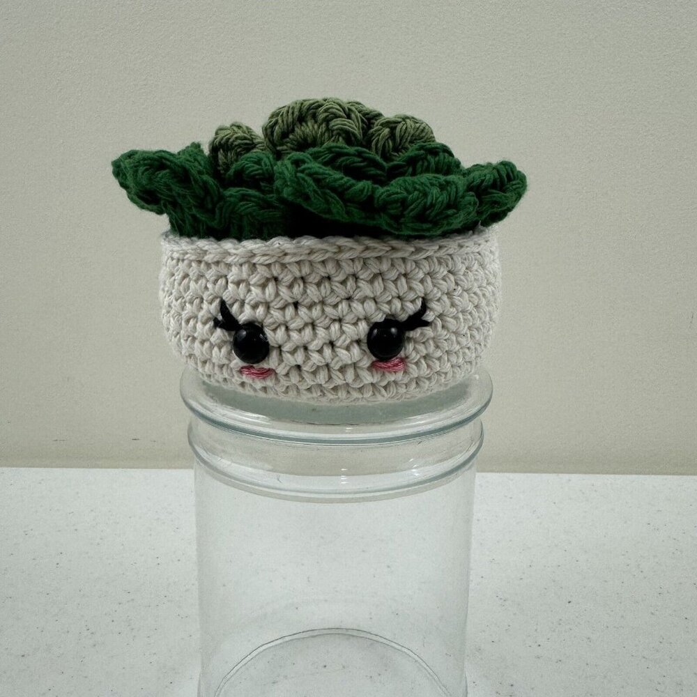 Handmade Crochet Houseplant Succulent Plant Pot And Coasters Set